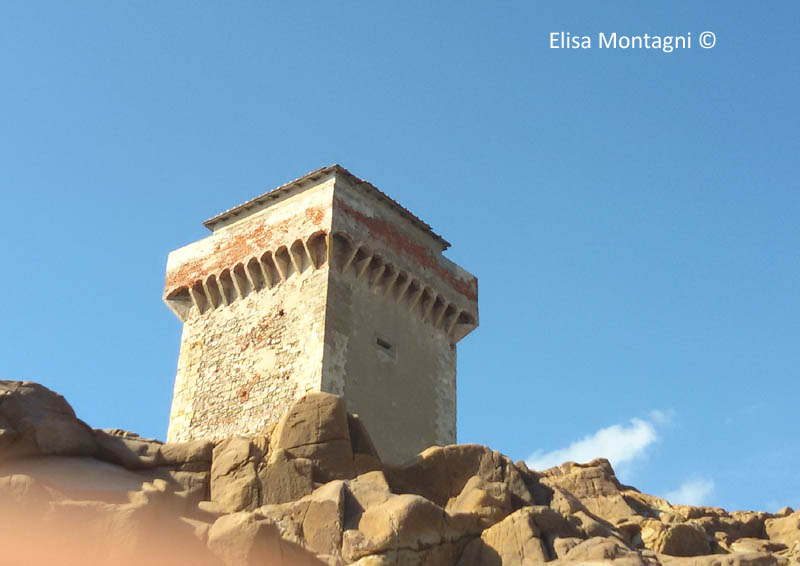 TORRE DI CALAFURIA: TORRE 2' IMMAGINE